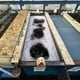 Acid Zinc Plating Line