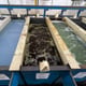 Acid Zinc Plating Line