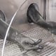 Technowash TechJet 1000 Manual Industrial Parts Washer