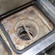 Internal View of Rinse Tank Showing Mesh Basket Strainer Location