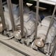 EMC-Italy Explorer M1350 RRB Flatbed Belt Linisher