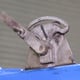 Manually operated roof vent