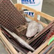 Pallet of Spares