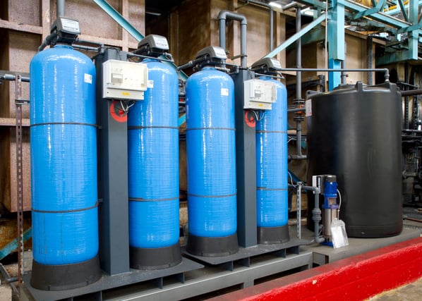 Duo Eclipse Demin Plant
